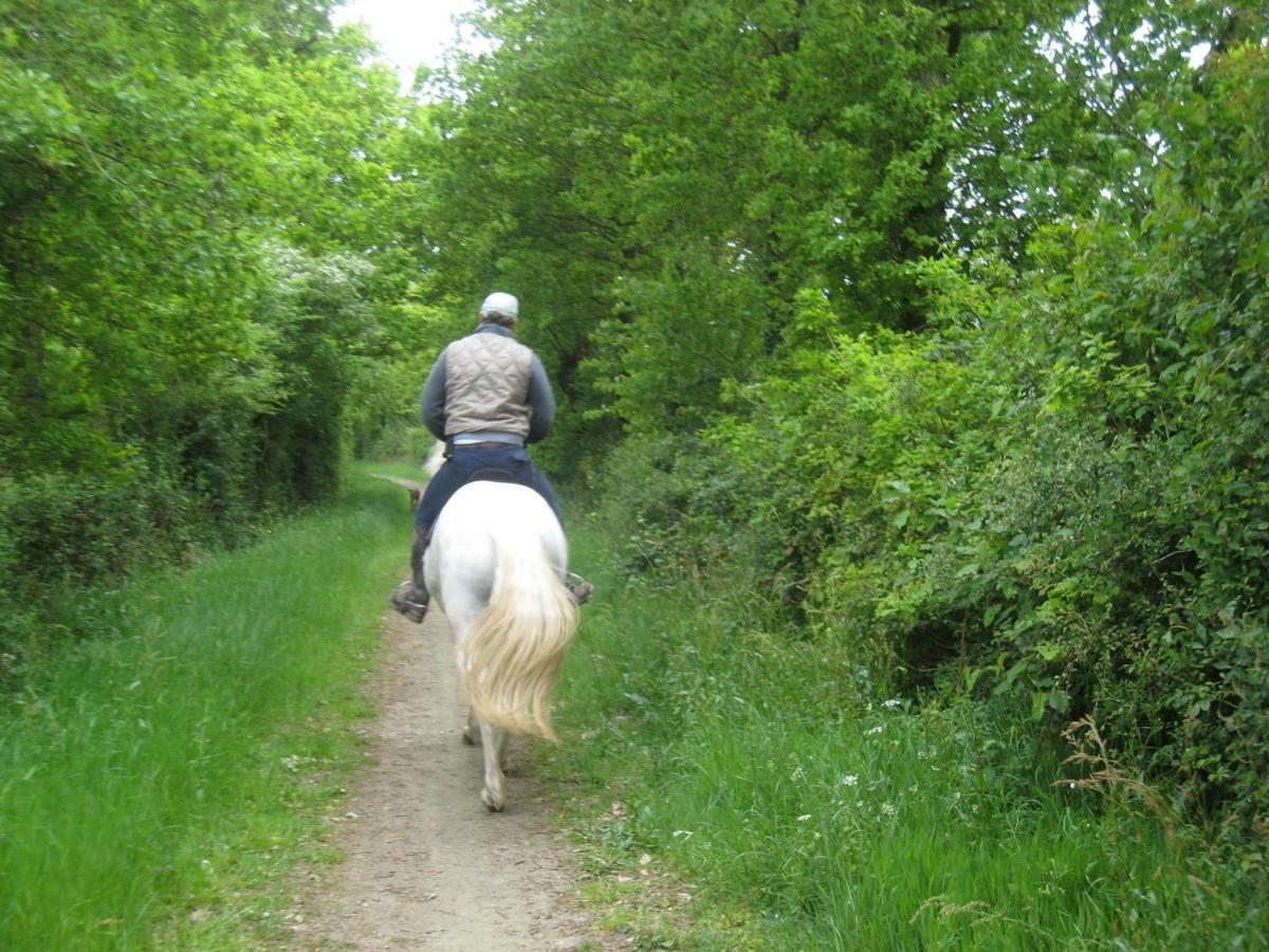 Relais De Chasse La Chaignaie Saint-Hilaire-de-Loulay Εξωτερικό φωτογραφία